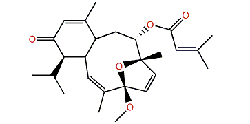 4-O-Methylvaldivone A